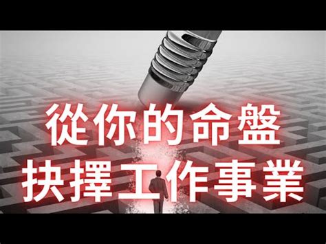 算命職業|您的事業